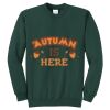 Core Fleece Crewneck Sweatshirt 2026 Thumbnail
