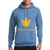 Core Fleece Pullover Hooded Sweatshirt Thumbnail